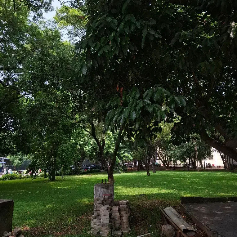 Stella Maris College Chennai Campus photo 1